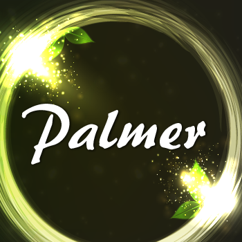 Palmer+Pro